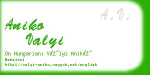 aniko valyi business card